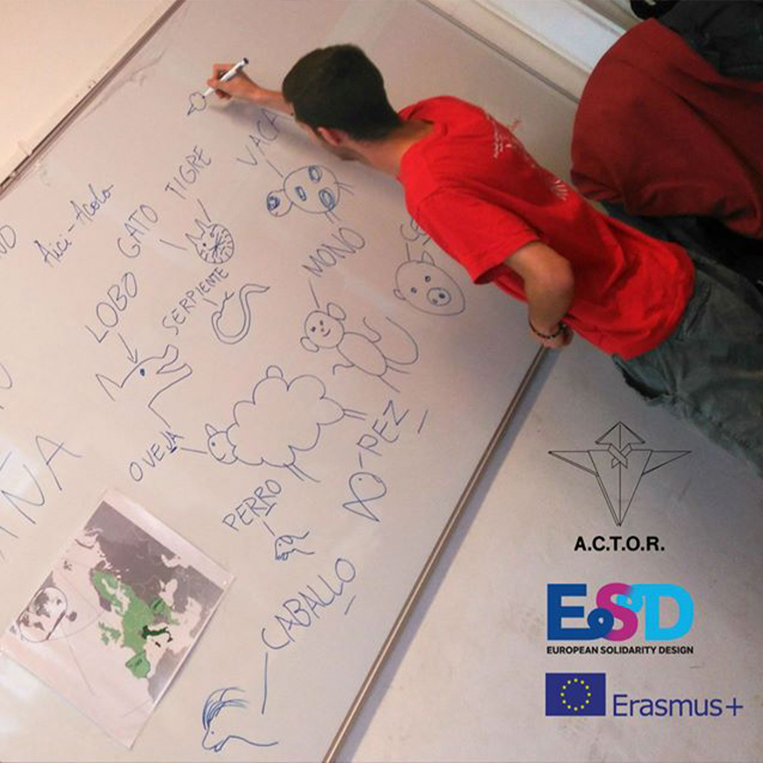 Diseño de talleres creativos para escuelas y hospitales, por Rubén Romo Design durante Voluntariado Europeo en Rumanía